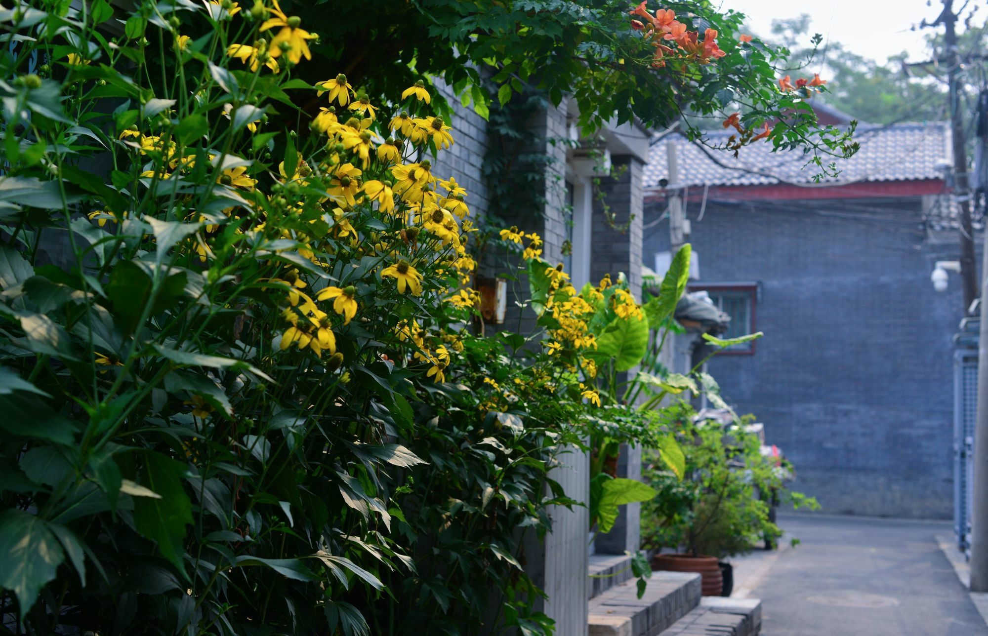 Garden Hotel Beijing